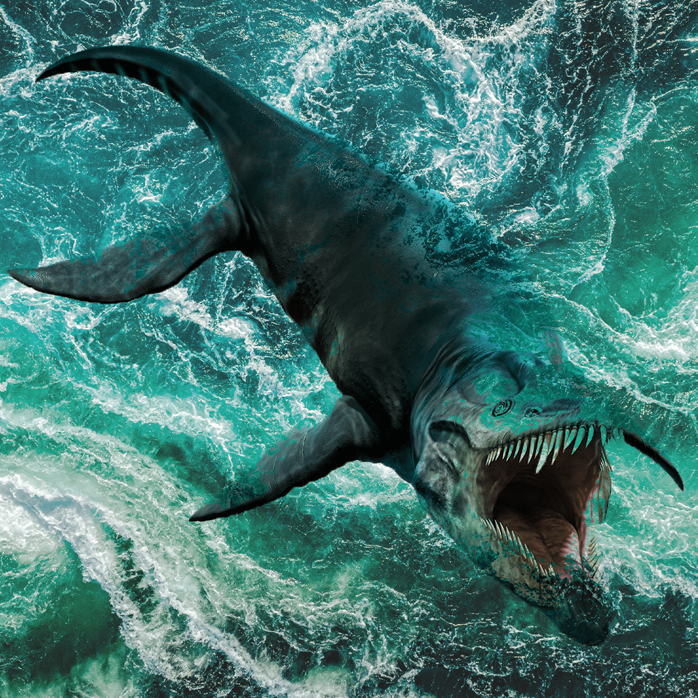 Les Monstres Du Fond Des Mers Episode 2 Découvrez la série audio Dinosaures du Jurassique - Sybel