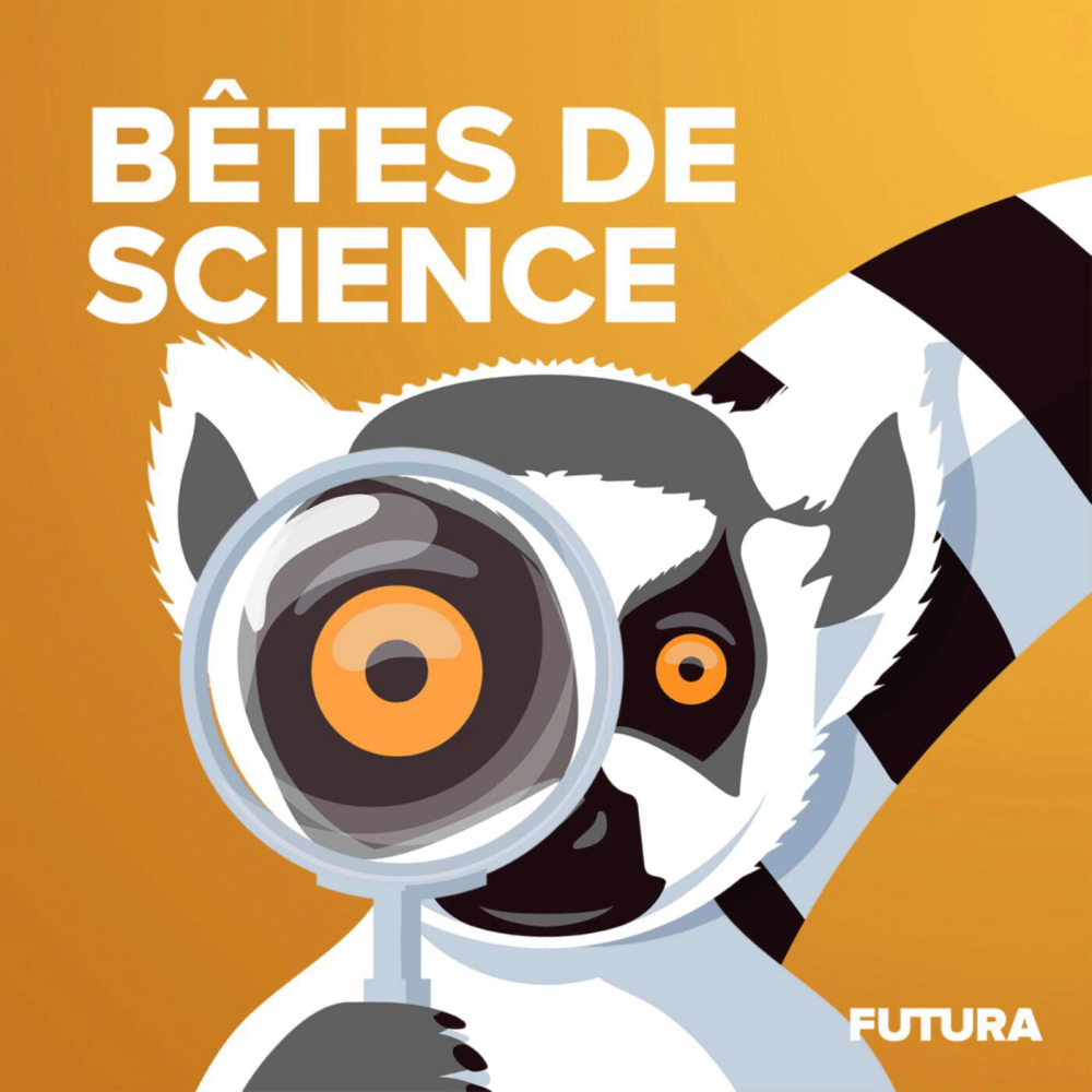 Betes-de-science-podcast-histoires-pour-enfants-futura