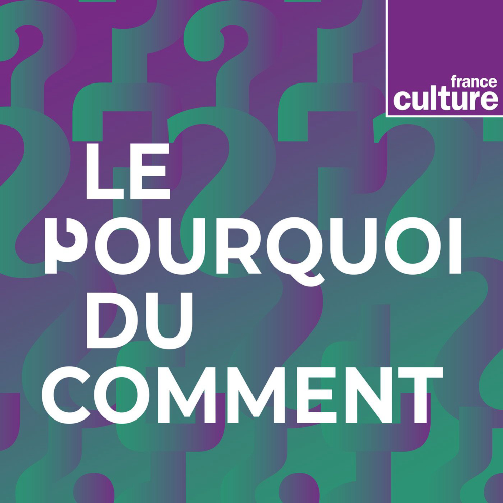 Le-pourquoi-du-comment-culture-generale-radio-story-telling-education-radio-france