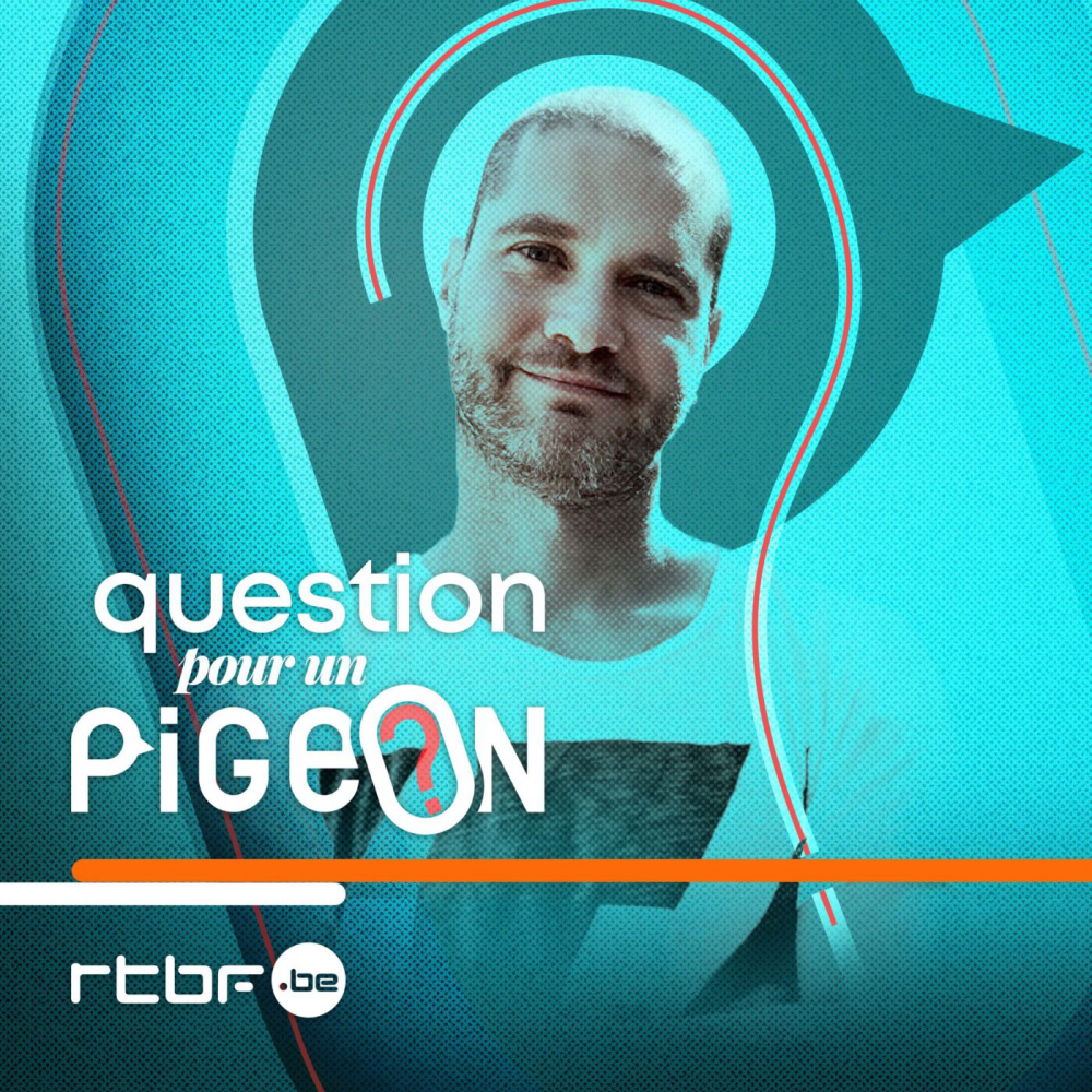 Question-pour-un-pigeon-podcast-story-telling-socie-te-copyright-c-rtbf-radio-television-belge-francophone-plus-d-infos-https-www-rtbf-be-cgu-
