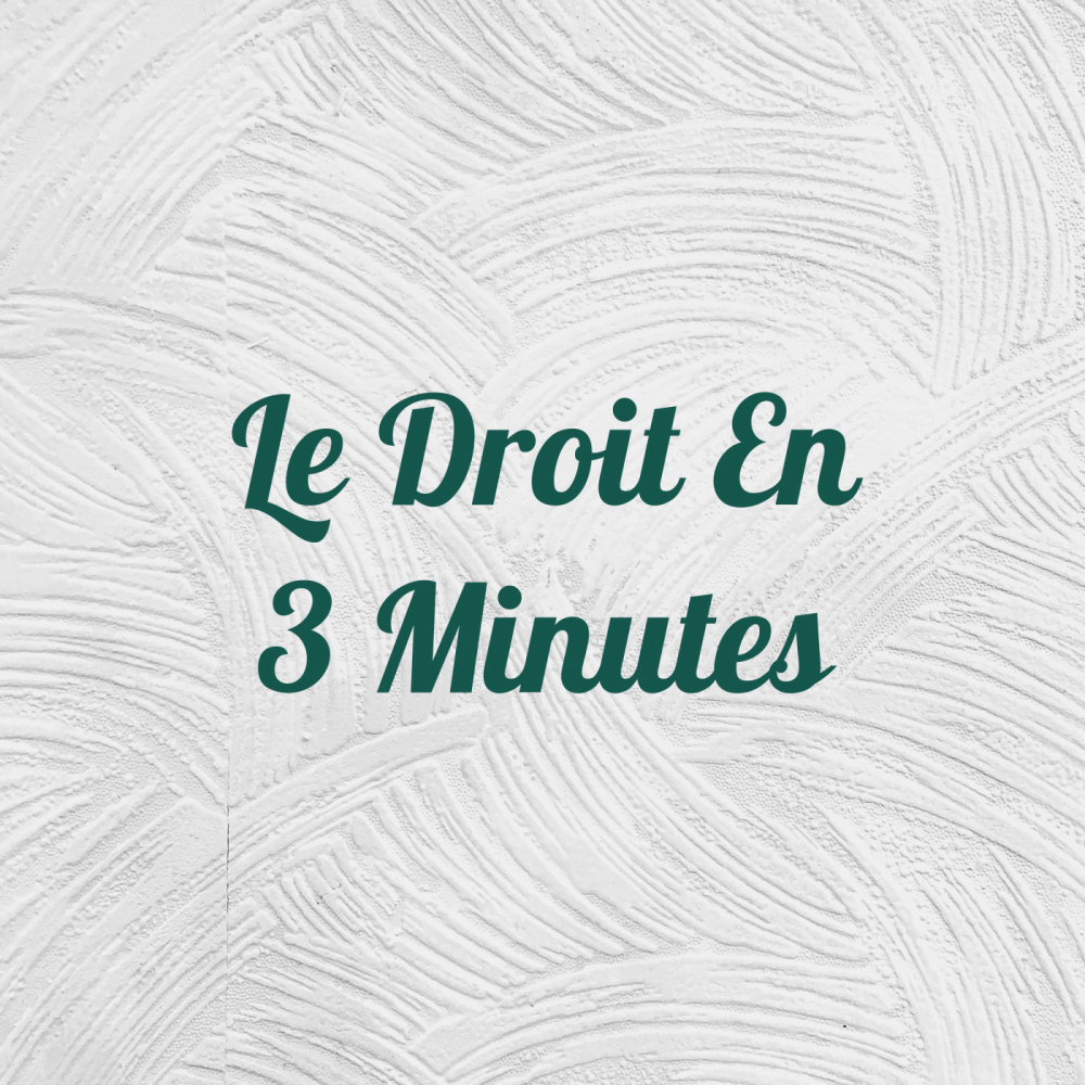 Le-droit-en-3-minutes-mrj8ycvcyr-podcast-talkshow-histoire-447388