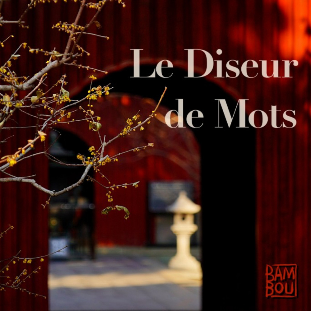 Le-diseur-de-mots-podcast-story-telling-litte-rature-all-rights-reserved