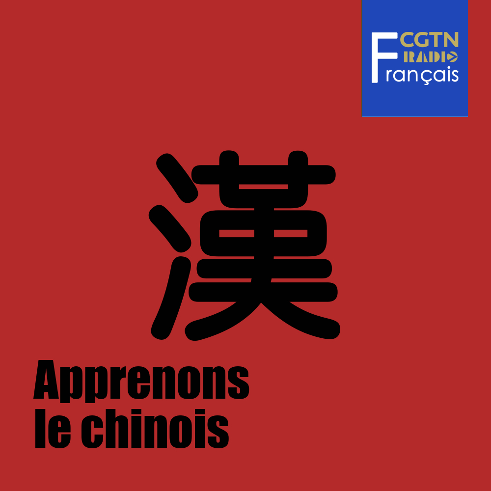 Apprenons-le-chinois-radio-coaching-education-all-rights-reserved